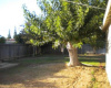 226 W Garland Ave, CA, California 93728, 2 Bedrooms Bedrooms, ,1 BathroomBathrooms,Homes,Occupied,W Garland,1033